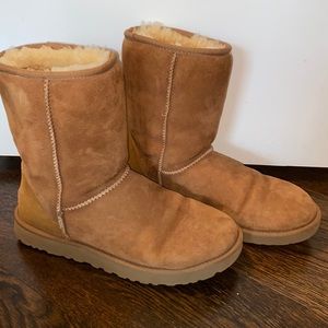 UGG classic short boots in chestnut
